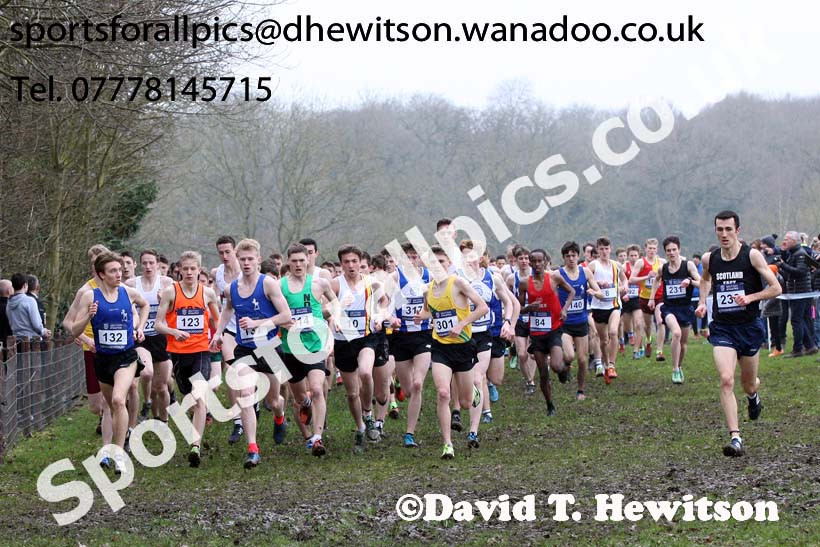 Mens under-20s Inter Counties Cross Country, Prestwold Hall, Loughborough. Photo: David T. Hewitson/Sports for All Pics